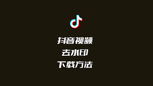 抖音- 跨境电商付先生