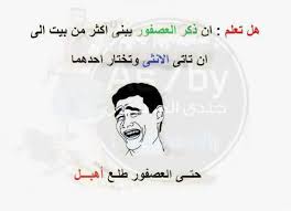 صور تعليقات اساحبي مضحكة عن الامتحانات 2014 , صور كوميكس مضحكة عن المذاكره والامتحانات 2014. Ø¨ÙˆØ³ØªØ§Øª Ø­Ø¨ Ù…Ø¶Ø­ÙƒÙ‡ Ø§Ø¶Ø­Ùƒ Ù…Ù† Ù‚Ù„Ø¨Ùƒ Ø§ÙØ¶Ù„ Ø¬Ø¯ÙŠØ¯