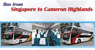 Especially if you choose to drive up during a public holiday. Singapore To Cameron Highlands Buses From Sgd 41 50 Busonlineticket Com