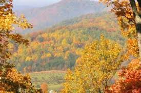 Go to our reservation page to make your reservation now! Luxury Camping Maryland Deep Creek Lake State Park Cabins