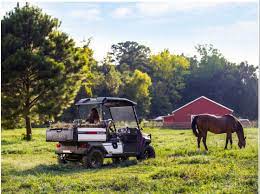 Mesa is home to some of arizona's most renowned golf offerings designed by the best. Home Desert Golf Cars In Arizona Golf Car Dealer In Az