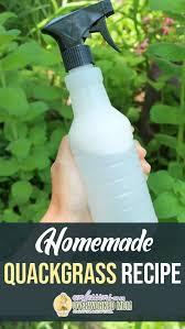 This homemade herbicide is by far one of the simplest believe it or not, sugar is also a pet friendly weed killer. Quackgrass Killer Recipe That Is Pet Safe And Effective