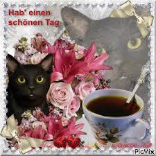 Du kannst hallo oder guten morgen mit gif zu deinen freunden, deinem geliebten oder deiner familie sagen, verwandte, kollegen am frühen morgen jeden tag senden ein gif guten morgen bilder, ich wünsche gute fotos vom guten morgen. Liebe Grusse Guten Morgen Schonen Tag Picmix