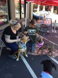 They always seem to have a friendly staff who remembers me & my dog when we come in, as well as a good selection of foods & supplies. Pet Food Express Adoption Event