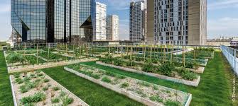 Luxury 1br flat w rooftop garden 360deg of london. Urban Rooftop Farming Zinco Green Roof Systems