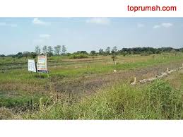 ( idr 11.500.000 /m² ) ukuran tanah. Jual Tanah Kavling Murah Dekat Surabaya Gresik Kab Toprumah Com Jual Beli Rumah Tanah Ruko Pasang Iklan Gratis
