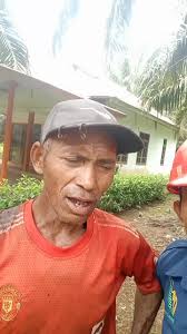 TopanHoki Jadi Pilihan Pak Vincent! Main Santai, Menang Terus Tiap Hari 💸🔥 - WooCommerce eCommerce