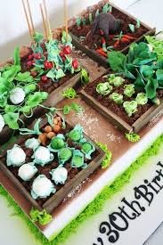Pin By Traci Doyle On Torty Zabavnye Vegetable Garden Cake Garden Cakes Allotment Cake