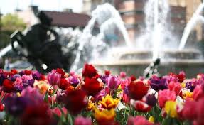 A Midwest Celebration of All Things Spring - KC Parent Magazine