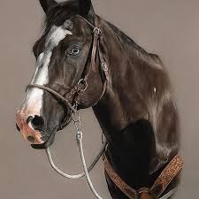 Existen de diversas capas, razas y fisionomías, cada una especial a su manera. Pintura Moderna Y Fotografia Artistica El Color Del Pastel En Los Caballos De Marion Tubiana