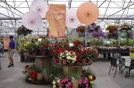 Al S Garden Center Woodburn Oregon Garden Center Bedding Plants Table Decorations