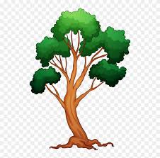 Download Yandeks Fotki So Many Trees To Color Coloring Book Free Transparent Png Clipart Images Download