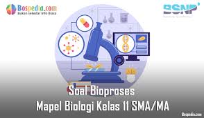 Clone wars season 4 episode kunci jawaban buku ekonomi kelas xi esis. Lengkap Soal Bioproses Mapel Biologi Kelas 11 Sma Ma Bospedia