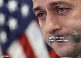 2,341 Paul Mcnamee Photos & High Res Pictures