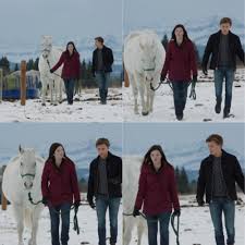 10x11 gg katie heartland tv show heartland tv heartland cast. Wyatt It Had To Be Dylan Georgie No Way Wyatt You Said He Records All Of His Competitors On His Phone Heartland Georgie Heartland Cast Heartland Seasons