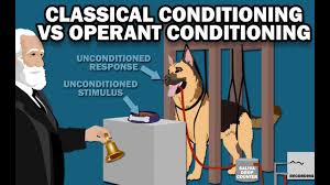 Classical Vs Operant Conditioning Youtube