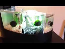 Betta falls is large enough to make an elegant statement, yet compact enough to fit anywhere in your home or office. Betta Falls Youtube