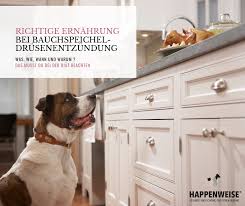 Pin Auf Hund