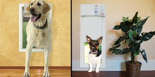 Welcome to solo dog doors. Wall Mount Pet Doors