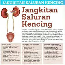Tabiat hidup yang tidak sihat, baik secara seksual atau kerana jarak uretra ke dubur di dalam badan mereka lebih dekat dan pintu uretra adalah dekat dengan pundi kencing. Get Sakit Pundi Kencing Lelaki Images