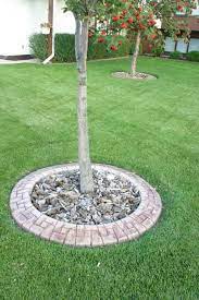 Landscaping Around Trees Stone Edging Landscaping Around Trees Front Yard Landscaping