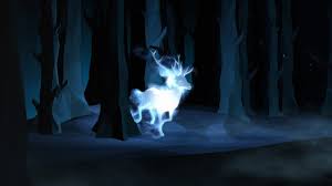 Do you think you know everything about the patronus? Wizarding World The Official Home Of Harry Potter