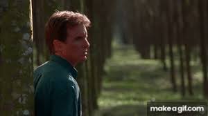 This article is about incarnation of sonya from the film, mortal kombat legends: Mortal Kombat 1995 Johnny Cage Vs Scorpion On Make A Gif