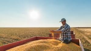 Dvr Agricoltura I Responsabili Della Sicurezza In Un Azienda Agricola E I Rischi
