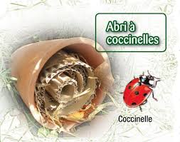 Resultats Google Recherche D Images Correspondant A Https I Pinimg Com Originals 63 32 D0 6332d0fc0c09812e0455 En 2020 Insectes De Jardin Hotel A Insectes Coccinelle