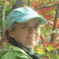 PDF) Exposure to multiple metals from groundwater—a global crisis: Geology,  climate change, health effects, testing, and mitigation