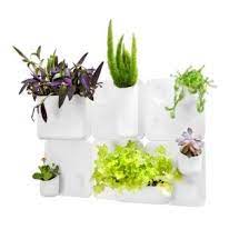 Urbio Amazing Wall Planter System Vertical Wall Planters Wall Planter Vertical Garden