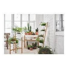 Satsumas Plantenstandaard Bamboe Wit Bestel Vandaag Ikea Ikea Plants Ikea Plant Stand Plant Decor
