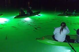 Paris, rome, london, new york, tokyo, sydney, florence Mtv Travel Activity St Pete Beach Led Illuminated Night