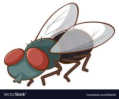 Fly On White Background Illustration Download A Free Preview Or High Quality Adobe Illustrator Ai Eps Pdf And High White Background Background Vector Images