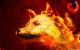 A zillion things home · home décor & so much more Cool Fox Wallpapers Top Free Cool Fox Backgrounds Wallpaperaccess