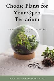 Choosing Plants For Open Terrariums In 2020 Open Terrariums Succulent Terrarium Plants In Bottles