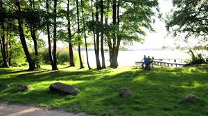 Nahe dem ochsenbacher teich, foto: Unesco Biospharenreservat Schaalsee Vielfalt Erleben Youtube