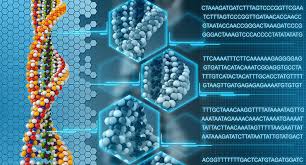 Genome Assembly