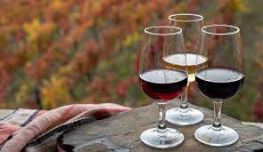 Estilos, uvas, produção e harmonização: tudo sobre o vinho do Porto | Guia do Vinho e da Gastronomia | G1