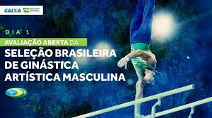 Ficou a impressão de que o rio havia sido o preâmbulo de uma grande atuação do time em tóquio. Avaliacao Aberta Da Selecao Brasileira De Ginastica Artistica Masculina Dia 1 Youtube