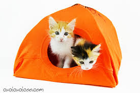 10 x 5cm plus tail. 8 Easy Homemade Recycled Cat Toys In Under 5 Minutes Cucicucicoo