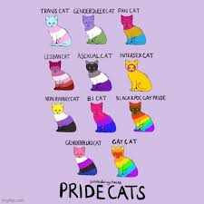 Search free lgbtq wallpapers on zedge and personalize your phone to suit you. Lgbtq Too Memes Gifs Imgflip