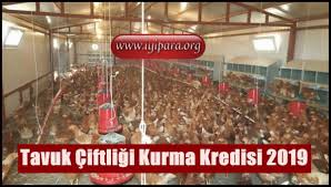 Tavuk Ciftligi Kurma Kredisi 2019 Devlet Destekli Iyipara Org 2019 Tavuk Tavukculuk Ve Ordekler