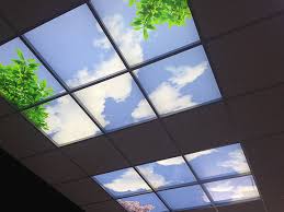 They fit into a standard ceiling grid and can be cut easily with a utility knife. Sky Panels For Artificial Skylight Ceiling Tiles Prosky Panels