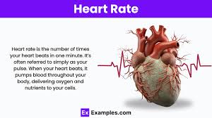 Image result for Heart Rate