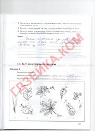 учебник по технологии 8 класс симоненко читать онлайн бесплатно Pin Ot Polzovatelya Jennifer Na Doske Sarvrubtai S Izobrazheniyami Uroki Matematiki Uchebnik Ustnyj Schet