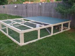 Dscf2289 Jpg Chickens Backyard Building A Chicken Coop Meat Birds
