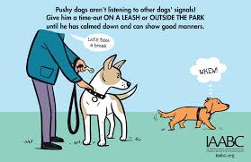 Pets at home offers the ultimate pet shop experience. Dr Lilly Scott S Pet Behaviour Training Home Facebook