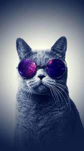 Wallpaper Engine On Android Hipster Wallpaper Glasses Wallpaper Hipster Cat