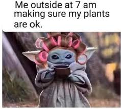Pin By Shannon Galvan On Geek Pics For The Geek In Us All Gardening Memes Plant Jokes Yoda Meme